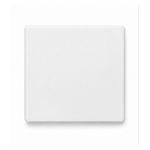 Panasonic 1-Gang Blank Plate — Without Cover Plate