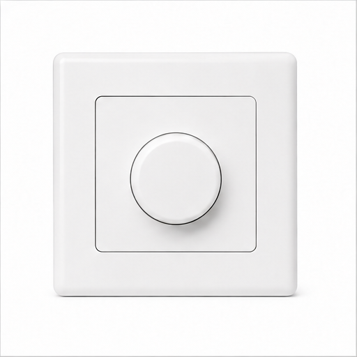 Panasonic 1-Gang Dimmer — Without Cover Plate