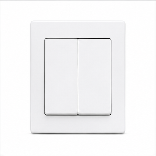 Panasonic 2-Gang 10A 1-Way SP Switch — Without Cover Plate